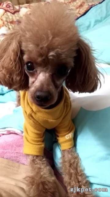 wechat_upload15948183505f0eff2e21d60